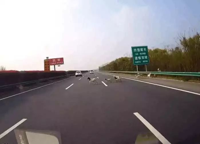 塞尔塔队长马略:遭遇禁赛让我学到了很多_英亚官方网站(图1) 英亚官方网站