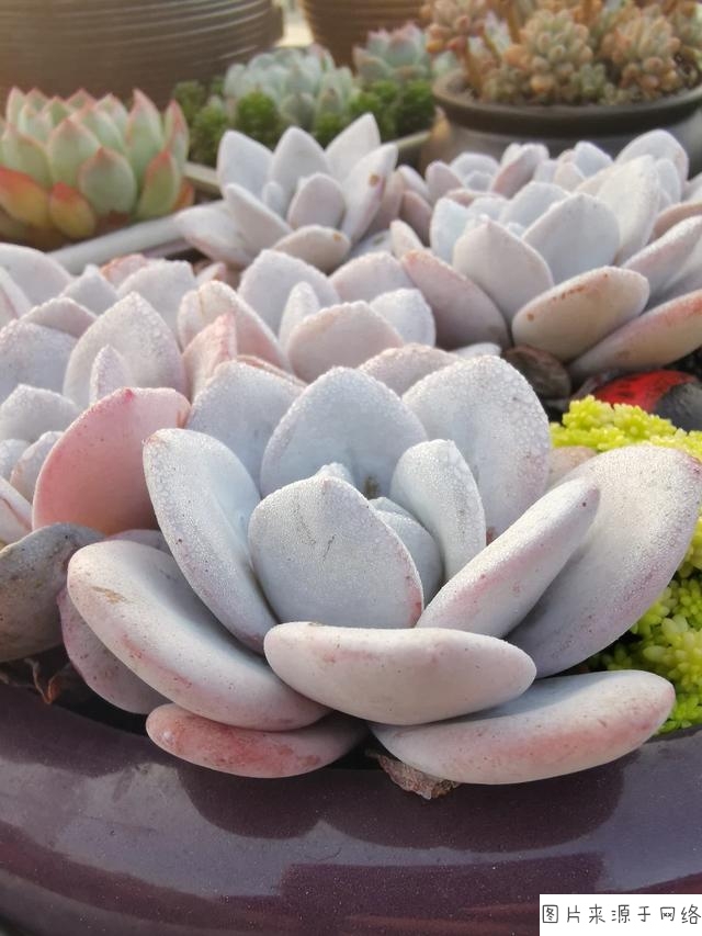 “英亚官网”埃梅里:不希望拉姆塞离开 一心一意为阿森纳踢球(图3) 英亚官方网站