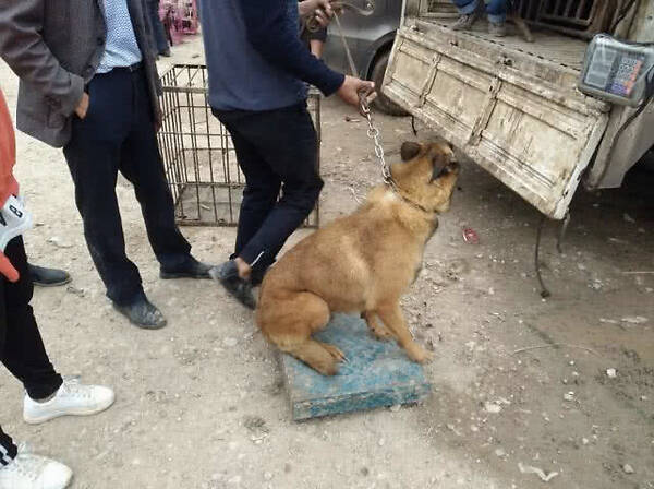 英亚官网:曼城助教:席尔瓦今天最佳球队追曼联得靠防守(图1) 英亚官方网站