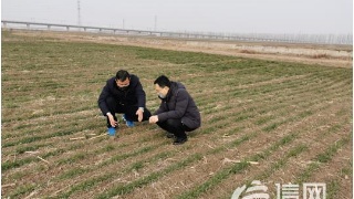 巴萨9名青训球员遭足协禁赛 当年亦"钻空"引梅西‘英亚官网首页’(图2) 英亚官网