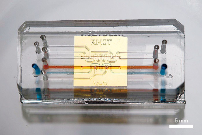 “英亚官网首页”曝德赫亚续约又停滞:曼联担心他想走!会鸡飞蛋打吗(图3) 英亚官方网站